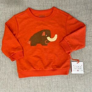 NEW Woolly Mammoth long sleeve boucle pullover, by Christian Robinson, size 3T